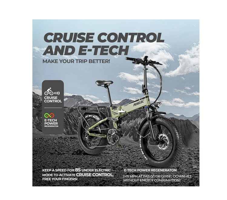Paselec PX6 Original Fat tyre Folding Ebike 750W motor 48V 14AH